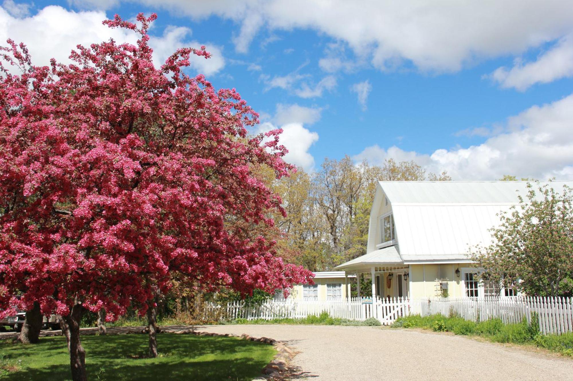 Blue Lake Ranch Bed & Breakfast Hesperus ภายนอก รูปภาพ