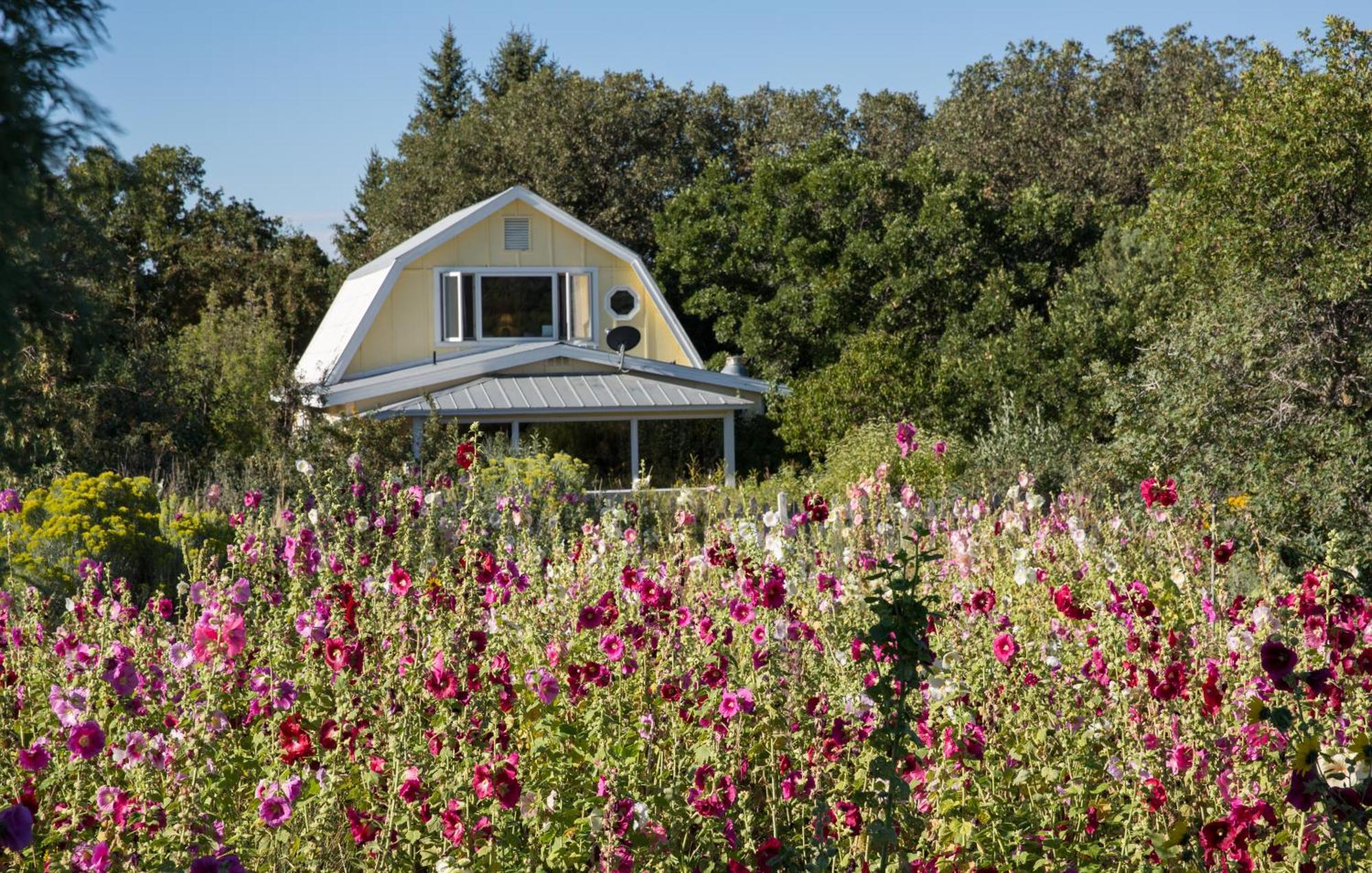 Blue Lake Ranch Hesperus ภายนอก รูปภาพ